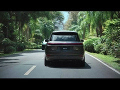 ลีวีดีโอ